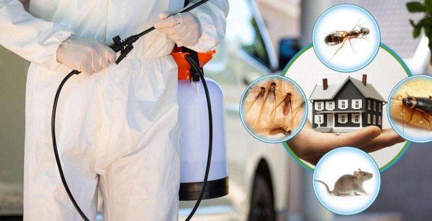 Atakent Böcek İlaçlama