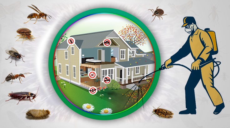 Atakent Böcek İlaçlama