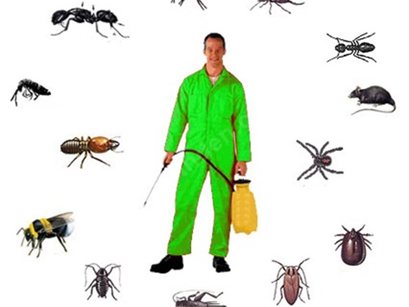 Atakent Böcek İlaçlama